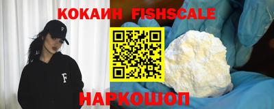 стафф Кингисепп