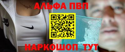 стафф Кингисепп