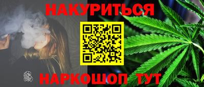 стафф Кингисепп