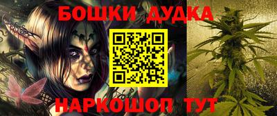 стафф Кингисепп