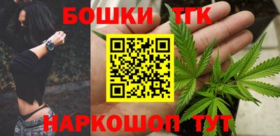 стафф Кингисепп
