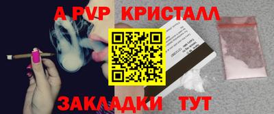стафф Кингисепп
