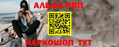 стафф Кингисепп