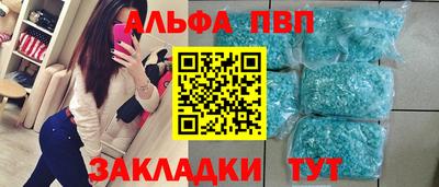 стафф Кингисепп