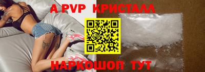 стафф Кингисепп