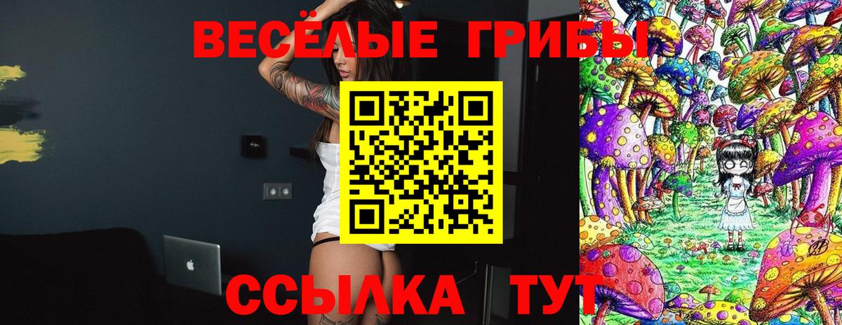 Кохма  Галлюциногенные грибы мухоморы  Галлюциногенные грибы Magic Shrooms  Вход с VPN 